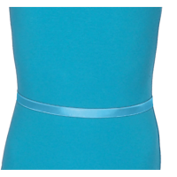 (image for) Elastic Belt